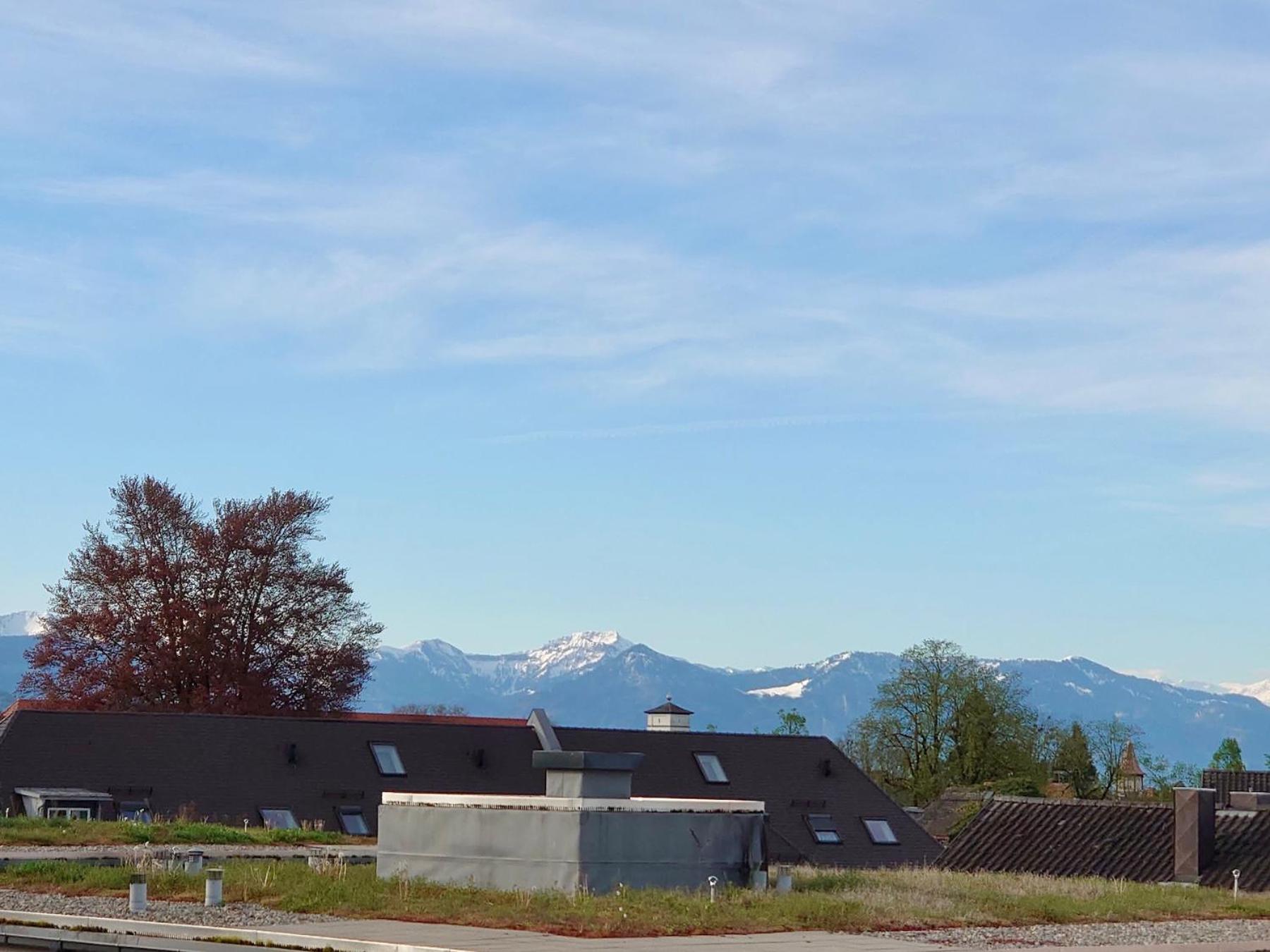 Ferienwohnung Riva - Wohlfuehloase In Ruhiger Lage Lindau  Kültér fotó